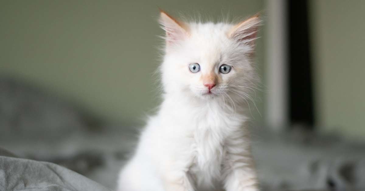 Falsch überwiesenes Geld vom Jobcenter – wem gehört es?